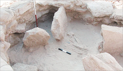 u0645u062fu0641u0646 u0643u0627u0638u0645u0629 u0645u0642u0633u0645 u0645u0646 u0627u0644u062fu0627u062eu0644