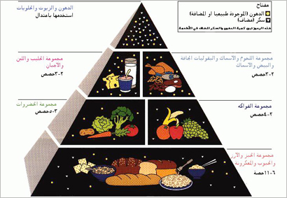 الفاكهة من المكونات الأساسية للهرم الغذائي