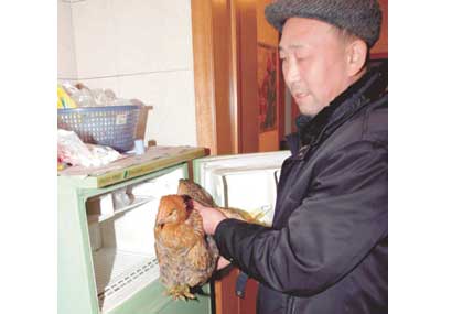 u063au0627u0646 u0634u0648u063au064au0646 u062du0627u0645u0644u0627 u062fu062cu0627u062cu062au0647 u0627u0645u0627u0645 u0627u0644u0641u0631u064au0632u0631