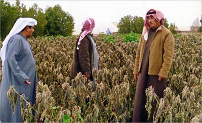 u062du0642u0644 u0628u0627u0630u0646u062cu0627u0646 u0645u062du0631u0648u0642 u0646u062au064au062cu0629 u0627u0644u0635u0642u064au0639