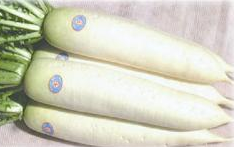 u062au0646u0627u0648u0644 u0627u0644u0641u062cu0644 u064au062cu0639u0644 u0627u0644u063au062fu0629 u0627u0644u062fu0631u0642u064au0629 u0644u0627 u062au0641u0631u0632 u0647u0631u0645u0648u0646u0627 u0632u0627u0626u062fu0627 u0623u0648 u0642u0644u064au0644u0627r