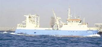 u0633u0641u064au0646u0629 u0623u0645 u0627u0644u062fu0627u0646u0627u062a