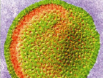 تنتشر الإصابة بفيروس الانفلونزا في أيام البرد