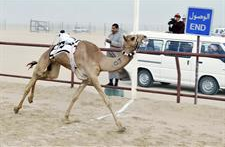 u0627u0644u0630u0644u0648u0644 u0627u0644u0641u0627u0626u0632 u0639u0646u062f u062eu0637 u0627u0644u0646u0647u0627u064au0629 u0641u064a u0627u0644u0633u0628u0627u0642