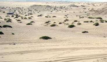 كثبان رملية بسبب التصحر