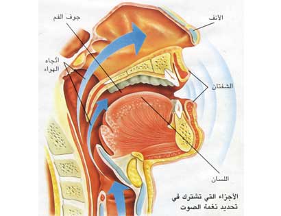 فيروسات الشتاء تسبب التهاب الحنجرة والأحبال الصوتية