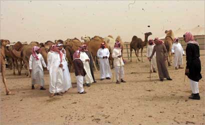 u062cu0627u0646u0628 u0645u0646 u0641u0627u0639u0644u064au0627u062a u0627u0644u0645u0647u0631u062cu0627u0646  (u062au0635u0648u064au0631 u062cu0644u0627u0644 u0645u0639u0648u0636)