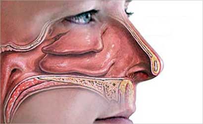 معاناة حساسية الانف ستطول هذا العام