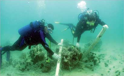 u062au0646u0638u064au0641 u0627u0644u0634u0639u0627u0628