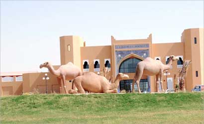 u062cu0627u0646u0628 u0645u0646 u0645u0646u062au062cu0639 u0633u0644u064au0644 u0627u0644u062cu0647u0631u0627u0621