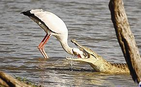 مصالح متبادلة!