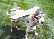 مستعد للإقلاع!