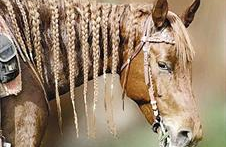 موضة الجدايل