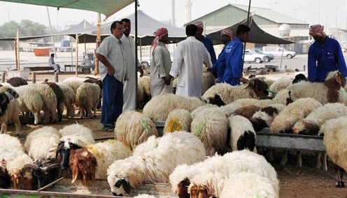 سوق الغنم
