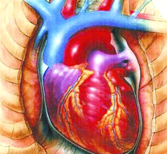 u0639u0636u0644u0629 u0627u0644u0642u0644u0628 u0644u0627u062au062eu0633u0631 u0648u0632u0646u0627 u0628u0627u0644u0635u0648u0645  