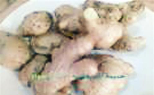 الزنجبيل منشط للقلب ومقو للجنس