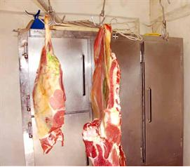 ذبائح لا تصلح للاستهلاك