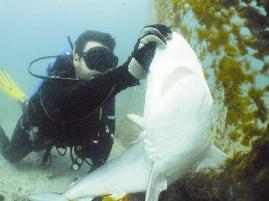 u0641u0631u064au0642 u0627u0644u063au0648u0635 u0641u064a u0623u062du062f u0623u0646u0634u0637u062au0647