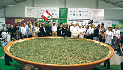 u0627u0644u0645u0634u0631u0641u0648u0646 u0639u0644u0649 u00abu0645u0647u0631u062cu0627u0646 u0627u0644u062au0628u0648u0644u0629u00bb ... u064au062au0648u062cu0648u0646u0647u0627 u00abu0628u0637u0644u0627u064b u0639u0627u0644u0645u064au0627u064bu00bb