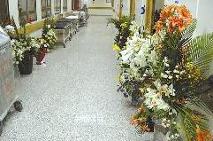 ورود حديقة حب لولد الديرة