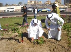 السواعد تزرع في دوار دسمان 		(تصوير مرهف حورية)