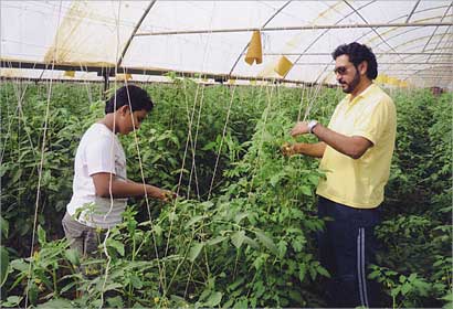 وسط المنتوجات