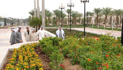 التشجير والتخضير مشروع وطني