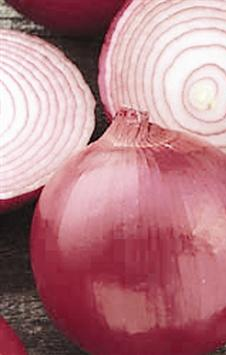 u0627u0644u0628u0635u0644 u064au062du0645u064a u0645u0646 u0623u0645u0631u0627u0636 u0627u0644u062cu0647u0627u0632 u0627u0644u062au0646u0641u0633u064ar