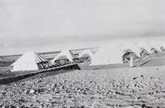 الاحمدي عندما كانت عبارة عن مجموعة خيام عام 1949