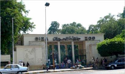 u0627u0644u0641u0644u0633u0637u064au0646u064a u0623u0628u0648 u0645u0633u0639u0648u062f u062au062du062fu062b u0639u0646 u0644u0642u0627u0621u0627u062a u0641u064a u062du062fu064au0642u0629 u0627u0644u062du064au0648u0627u0646 u0641u064a u0627u0644u062cu064au0632u0629 (u062eu0627u0635 - u00abu0627u0644u0631u0627u064au00bb)