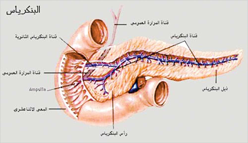 من مضاعفاته التهاب البنكرياس