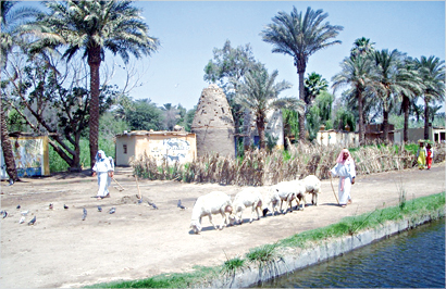 حياة فرعونية كاملة على نيل مصر