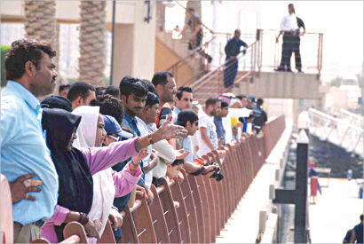 متابعون لعملية اخراج الحوت من «المارينا»