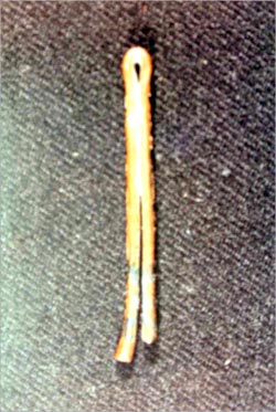 عملة طويلة الحسا