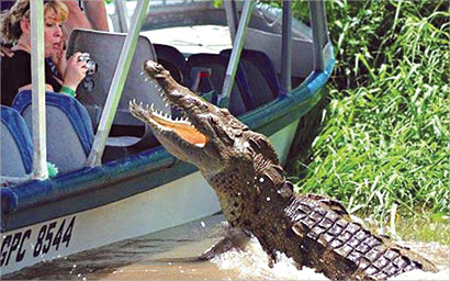 u0630u0647u0648u0644 u0645u0627u0631u064au0627 u0634u064au0631u064au0646u063a u0645u0646 u00abu0627u0644u0641u0643 u0627u0644u0645u0641u062au0631u0633u00bb