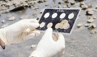 إجراء تحليل