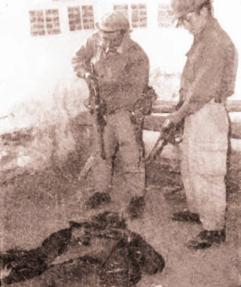 مقتل جيفارا