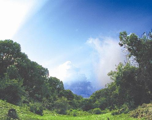 لوحة آخاذة من الجمال في عسير