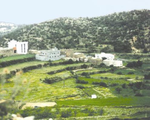 «أبها»... درة المصايف السعودية