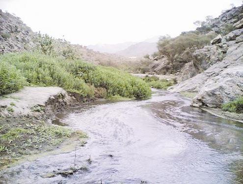 جمال الطبيعة في الطائف