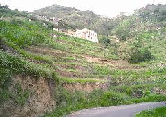 طبيعة خلابة في المجاردة