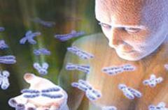 ... ويحمي الحمض النووي «DNA» من التلف