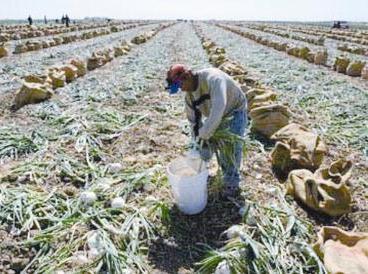 u062du062b u0627u0644u0642u0631u0622u0646 u0627u0644u0643u0631u064au0645 u0639u0644u0649 u0632u0631u0627u0639u0629 u0627u0644u0627u0631u0636 u0648u0627u0633u062au063au0644u0627u0644u0647u0627 u0628u0645u0627 u064au0646u0641u0639 u0627u0644u0646u0627u0633r