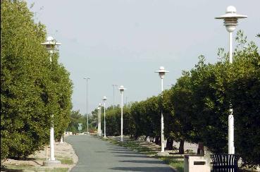 أعمدة الإنارة دون إنارة