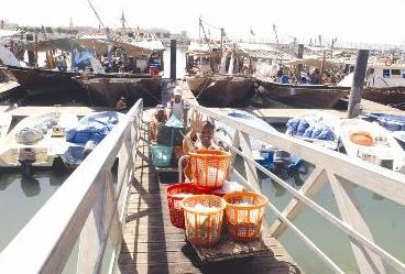 حصيلة ضئيلة من الصيد			(تصوير اسعد عبدالله)