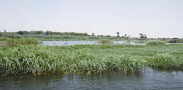 مزارع اسماك طبيعية