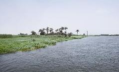 طبيعة خلابة