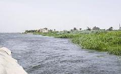 فلل لاثرياء  عرب