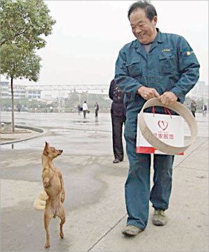 «لولو» برفقة زهو غوانشون