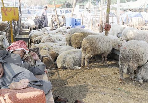 استراحة محارب أم يأس من الزباـئن؟   	 (تصوير موسى عياش)